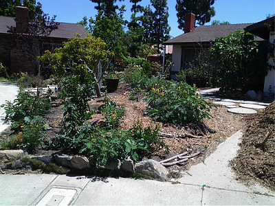 math in the garden