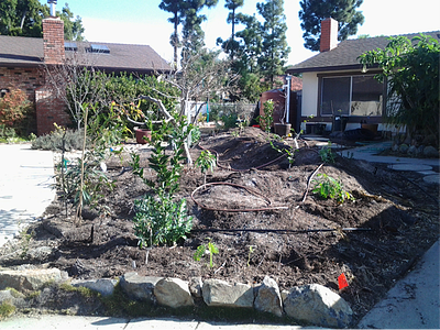 math in the garden