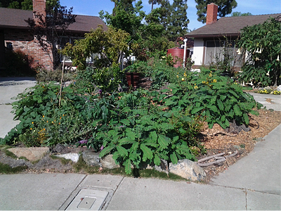 math in the garden full garden