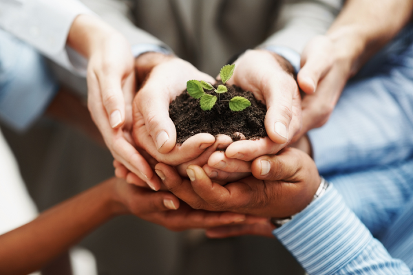 Teaching project management skills