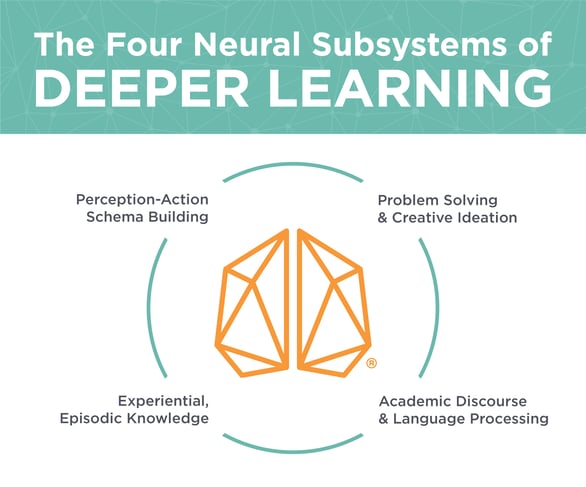 4_Neural_Subsystems