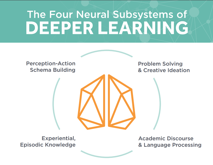 Four_neural_subsystems_graphic.png