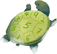 turtle