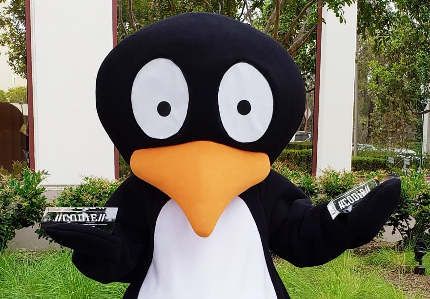 JiJi-CODiE-2