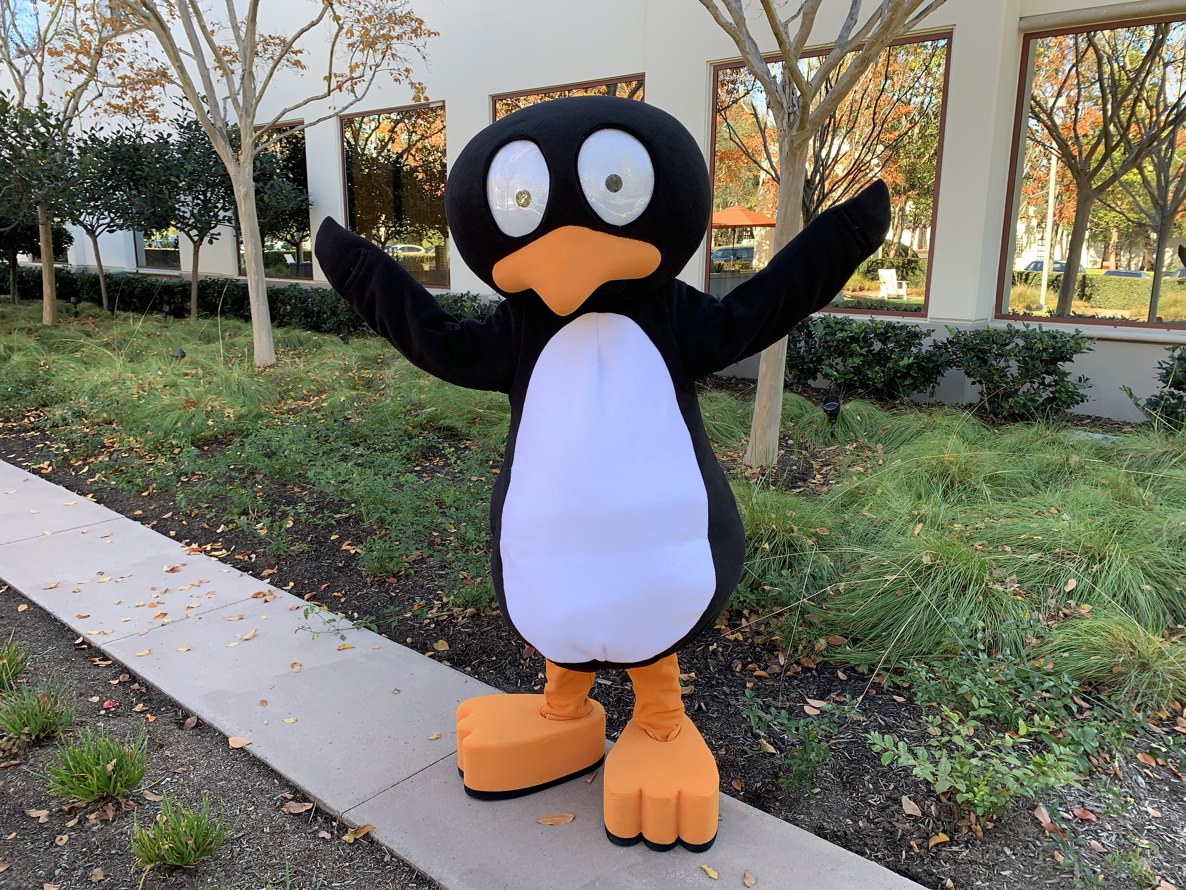 JiJi_mascot_2