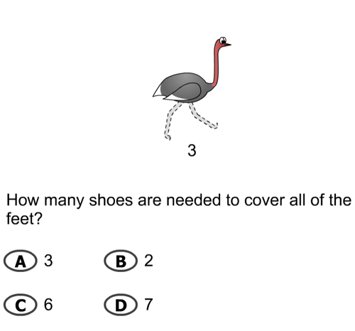 Ostrich Word