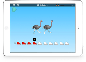 Conceptual Understanding vs. Procedural Fluency