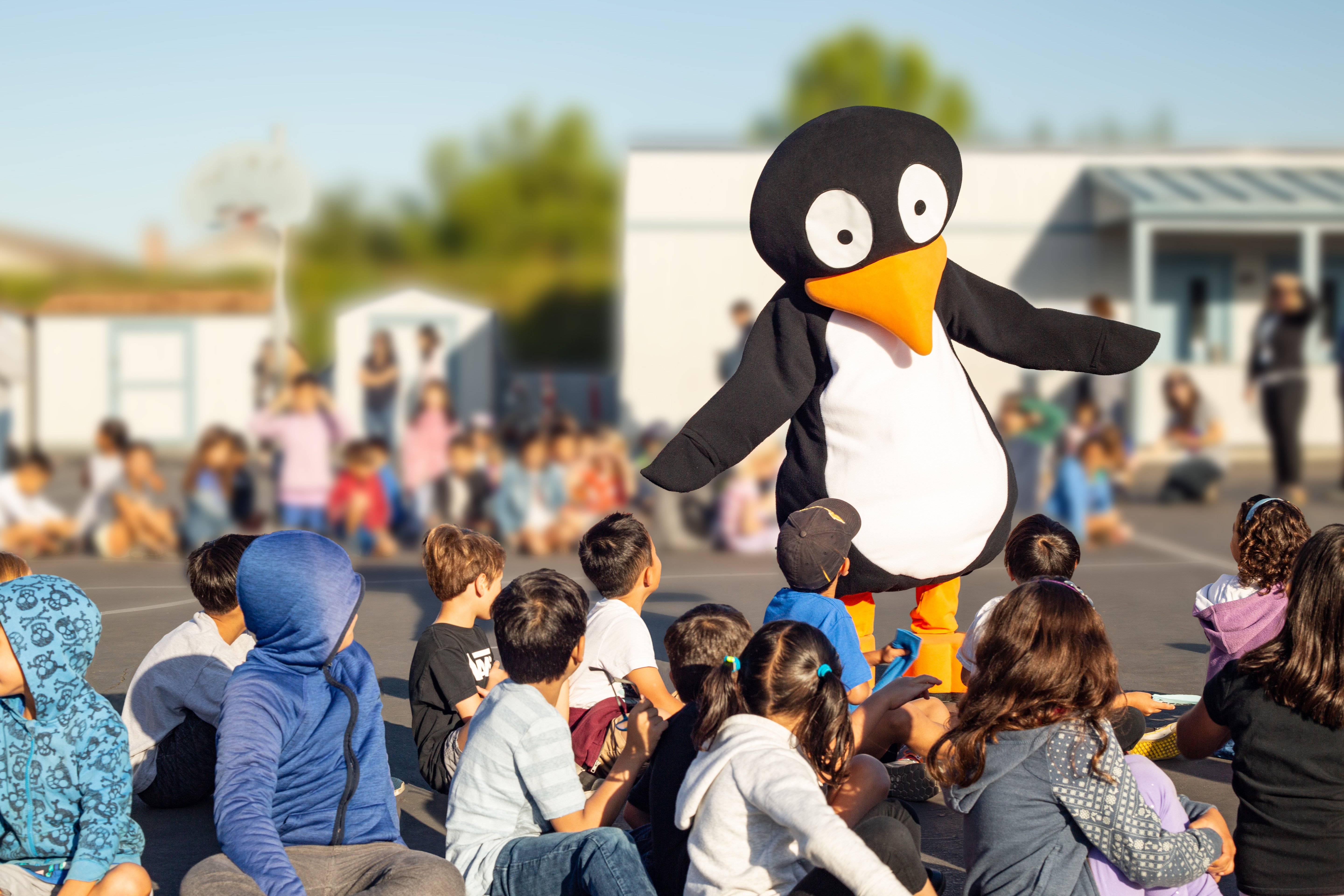 JiJi_College-Park