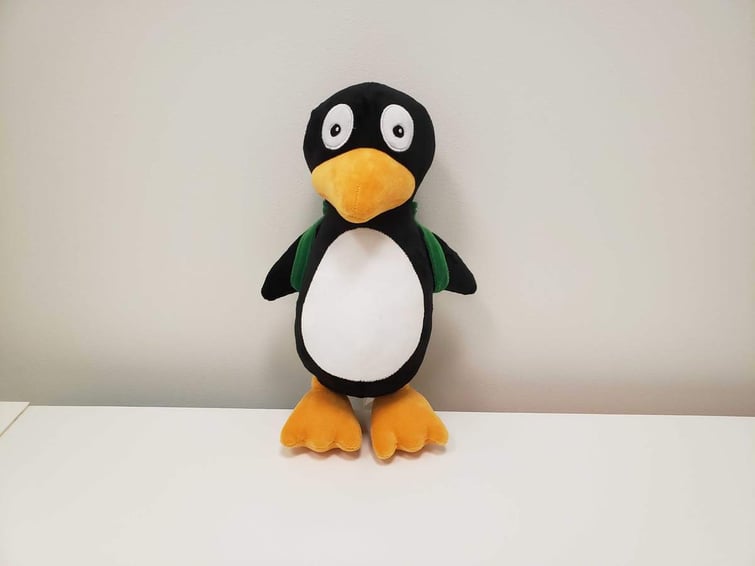 cdn.shopify.comsfiles1014667317348productsJiJi_Plush_Front_1200x1200