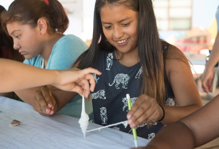 summer-STEM-camps-section-1