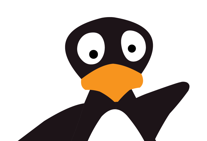 Guest Blogger